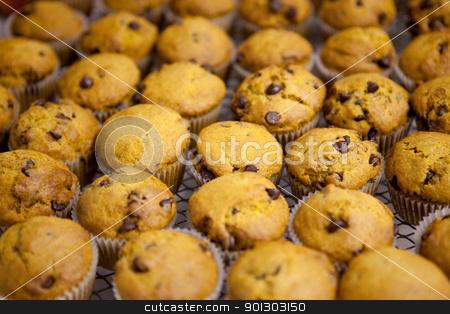 To use this stock image in your creative project, please select the size you need over to the right and click the "Add to Cart" button.
Your downloaded image will come with the Cutcaster watermark removed so don’t worry about the watermark you see on this page. Pumpkin Muffin stock photo, Freshly baked chocolate chip pumpkin muffins by Tyler Olson