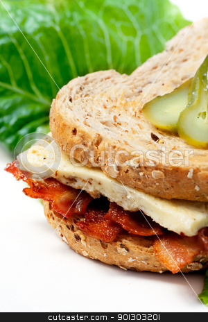 To use this stock image in your creative project, please select the size you need over to the right and click the "Add to Cart" button.
Your downloaded image will come with the Cutcaster watermark removed so don’t worry about the watermark you see on this page. Western Sandwich stock photo, A Western Sandwich (Denver Sandwich) made of omelette and bacon. by Tyler Olson