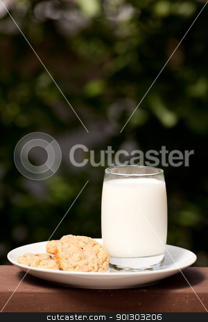 To use this stock image in your creative project, please select the size you need over to the right and click the "Add to Cart" button.
Your downloaded image will come with the Cutcaster watermark removed so don’t worry about the watermark you see on this page. Milk and Cookies stock photo, A plate of milk and cookies in an outdoor setting by Tyler Olson