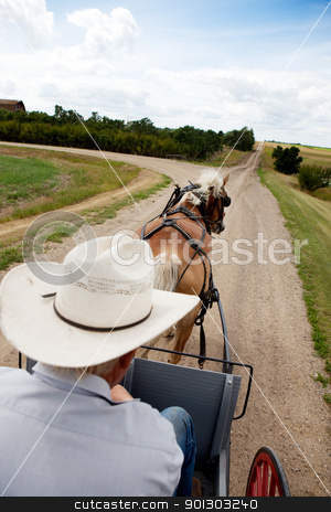 To use this stock image in your creative project, please select the size you need over to the right and click the "Add to Cart" button.
Your downloaded image will come with the Cutcaster watermark removed so don’t worry about the watermark you see on this page. Horse and Buggy stock photo, A horse pulling a cart accross a beautiful Saskatchewan landscape by Tyler Olson