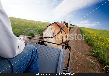 To use this stock image in your creative project, please select the size you need over to the right and click the "Add to Cart" button.
Your downloaded image will come with the Cutcaster watermark removed so don’t worry about the watermark you see on this page. Horse and Cart stock photo, A horse pulling a cart accross a beautiful Saskatchewan landscape by Tyler Olson