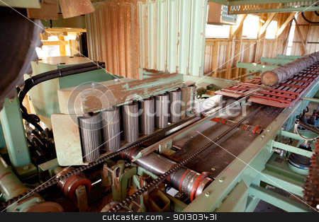 To use this stock image in your creative project, please select the size you need over to the right and click the "Add to Cart" button.
Your downloaded image will come with the Cutcaster watermark removed so don’t worry about the watermark you see on this page. Lumber Mill Detail stock photo, A lumber mill detail showing a log ready to be cut by Tyler Olson