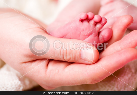 To use this stock image in your creative project, please select the size you need over to the right and click the "Add to Cart" button.
Your downloaded image will come with the Cutcaster watermark removed so don’t worry about the watermark you see on this page. Newborn Baby Foot stock photo, The foot of a newborn baby in the hand of a mother by Tyler Olson