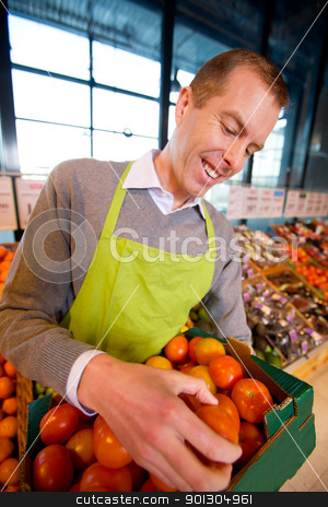 To use this stock image in your creative project, please select the size you need over to the right and click the "Add to Cart" button.
Your downloaded image will come with the Cutcaster watermark removed so don’t worry about the watermark you see on this page. Happy Grocery Store Owner stock photo, A happy grocery store owner looking over a box of ripe tomatoes by Tyler Olson