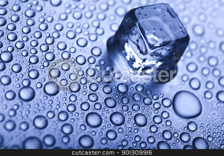 To use this stock image in your creative project, please select the size you need over to the right and click the "Add to Cart" button.
Your downloaded image will come with the Cutcaster watermark removed so don’t worry about the watermark you see on this page. Blue and shiny ice cubes stock photo, Ice can refer any of the 14 known solid phases of water. However, in non-scientific contexts, it usually describes ice Ih, which is the most abundant of these phases in Earth's biosphere. This type of ice is a soft, fragile, crystalline solid, which can appear transparent or an opaque bluish-white color depending on the presence of impurities such as air. The manufacture and use of ice cubes or crushed ice is common for drinks. by Sebastian Duda