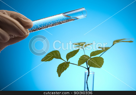 To use this stock image in your creative project, please select the size you need over to the right and click the "Add to Cart" button.
Your downloaded image will come with the Cutcaster watermark removed so don’t worry about the watermark you see on this page. Ecology laboratory experiment in plants stock photo, A laboratory is a place where scientific research and experiments are conducted. Laboratories designed for processing specimens, such as environmental research or medical laboratories will have specialised machinery (automated analysers) designed to process many samples.
by Sebastian Duda