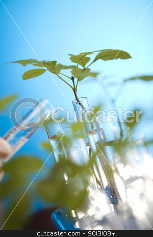 To use this stock image in your creative project, please select the size you need over to the right and click the "Add to Cart" button.
Your downloaded image will come with the Cutcaster watermark removed so don’t worry about the watermark you see on this page. Floral science in laboratory stock photo, A laboratory is a place where scientific research and experiments are conducted. Laboratories designed for processing specimens, such as environmental research or medical laboratories will have specialised machinery (automated analysers) designed to process many samples.
by Sebastian Duda