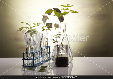 To use this stock image in your creative project, please select the size you need over to the right and click the "Add to Cart" button.
Your downloaded image will come with the Cutcaster watermark removed so don’t worry about the watermark you see on this page. Recycling sign in laboratory stock photo, A laboratory is a place where scientific research and experiments are conducted. Laboratories designed for processing specimens, such as environmental research or medical laboratories will have specialised machinery (automated analysers) designed to process many samples.
by Sebastian Duda