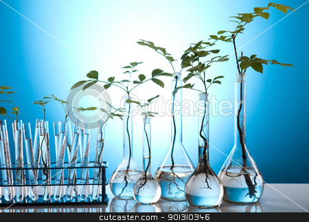 To use this stock image in your creative project, please select the size you need over to the right and click the "Add to Cart" button.
Your downloaded image will come with the Cutcaster watermark removed so don’t worry about the watermark you see on this page. Eco laboratory stock photo, A laboratory is a place where scientific research and experiments are conducted. Laboratories designed for processing specimens, such as environmental research or medical laboratories will have specialised machinery (automated analysers) designed to process many samples.
by Sebastian Duda