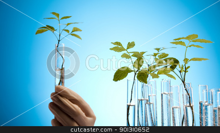 To use this stock image in your creative project, please select the size you need over to the right and click the "Add to Cart" button.
Your downloaded image will come with the Cutcaster watermark removed so don’t worry about the watermark you see on this page. Chemical laboratory glassware equipment, ecology stock photo, A laboratory is a place where scientific research and experiments are conducted. Laboratories designed for processing specimens, such as environmental research or medical laboratories will have specialised machinery (automated analysers) designed to process many samples.
by Sebastian Duda