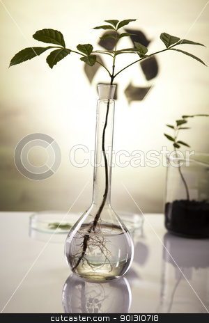 To use this stock image in your creative project, please select the size you need over to the right and click the "Add to Cart" button.
Your downloaded image will come with the Cutcaster watermark removed so don’t worry about the watermark you see on this page. Recycling sign in laboratory stock photo, A laboratory is a place where scientific research and experiments are conducted. Laboratories designed for processing specimens, such as environmental research or medical laboratories will have specialised machinery (automated analysers) designed to process many samples.
by Sebastian Duda