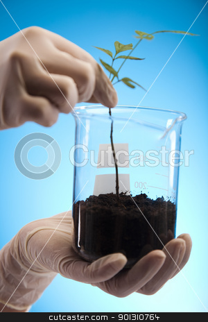 To use this stock image in your creative project, please select the size you need over to the right and click the "Add to Cart" button.
Your downloaded image will come with the Cutcaster watermark removed so don’t worry about the watermark you see on this page. Ecology laboratory experiment in plants stock photo, A laboratory is a place where scientific research and experiments are conducted. Laboratories designed for processing specimens, such as environmental research or medical laboratories will have specialised machinery (automated analysers) designed to process many samples.
by Sebastian Duda