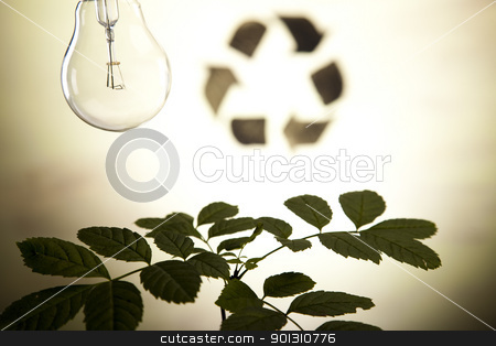 To use this stock image in your creative project, please select the size you need over to the right and click the "Add to Cart" button.
Your downloaded image will come with the Cutcaster watermark removed so don’t worry about the watermark you see on this page. Plant and ecology stock photo, Recycling plant, ecology background. by Sebastian Duda
