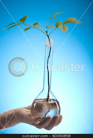 To use this stock image in your creative project, please select the size you need over to the right and click the "Add to Cart" button.
Your downloaded image will come with the Cutcaster watermark removed so don’t worry about the watermark you see on this page. Plant laboratory stock photo, A laboratory is a place where scientific research and experiments are conducted. Laboratories designed for processing specimens, such as environmental research or medical laboratories will have specialised machinery (automated analysers) designed to process many samples.
by Sebastian Duda