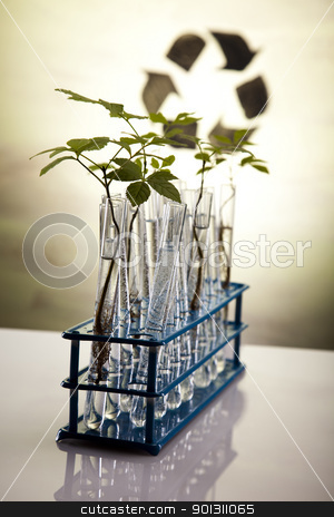 To use this stock image in your creative project, please select the size you need over to the right and click the "Add to Cart" button.
Your downloaded image will come with the Cutcaster watermark removed so don’t worry about the watermark you see on this page. Recycling and plant laboratory stock photo, A laboratory is a place where scientific research and experiments are conducted. Laboratories designed for processing specimens, such as environmental research or medical laboratories will have specialised machinery (automated analysers) designed to process many samples.
by Sebastian Duda