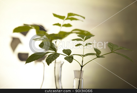 To use this stock image in your creative project, please select the size you need over to the right and click the "Add to Cart" button.
Your downloaded image will come with the Cutcaster watermark removed so don’t worry about the watermark you see on this page. Recycling and plant laboratory stock photo, A laboratory is a place where scientific research and experiments are conducted. Laboratories designed for processing specimens, such as environmental research or medical laboratories will have specialised machinery (automated analysers) designed to process many samples.
by Sebastian Duda