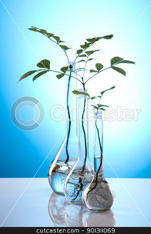 To use this stock image in your creative project, please select the size you need over to the right and click the "Add to Cart" button.
Your downloaded image will come with the Cutcaster watermark removed so don’t worry about the watermark you see on this page. Plants and laboratory stock photo, A laboratory is a place where scientific research and experiments are conducted. Laboratories designed for processing specimens, such as environmental research or medical laboratories will have specialised machinery (automated analysers) designed to process many samples.
by Sebastian Duda