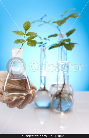 To use this stock image in your creative project, please select the size you need over to the right and click the "Add to Cart" button.
Your downloaded image will come with the Cutcaster watermark removed so don’t worry about the watermark you see on this page. Plants and laboratory stock photo, A laboratory is a place where scientific research and experiments are conducted. Laboratories designed for processing specimens, such as environmental research or medical laboratories will have specialised machinery (automated analysers) designed to process many samples.
by Sebastian Duda
