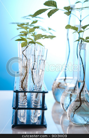 To use this stock image in your creative project, please select the size you need over to the right and click the "Add to Cart" button.
Your downloaded image will come with the Cutcaster watermark removed so don’t worry about the watermark you see on this page. Chemistry equipment, plants laboratory glassware stock photo, A laboratory is a place where scientific research and experiments are conducted. Laboratories designed for processing specimens, such as environmental research or medical laboratories will have specialised machinery (automated analysers) designed to process many samples.
by Sebastian Duda