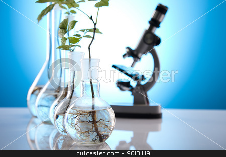To use this stock image in your creative project, please select the size you need over to the right and click the "Add to Cart" button.
Your downloaded image will come with the Cutcaster watermark removed so don’t worry about the watermark you see on this page. Plant laboratory stock photo, A laboratory is a place where scientific research and experiments are conducted. Laboratories designed for processing specimens, such as environmental research or medical laboratories will have specialised machinery (automated analysers) designed to process many samples.
by Sebastian Duda
