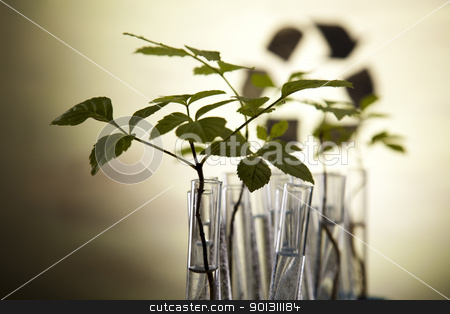 To use this stock image in your creative project, please select the size you need over to the right and click the "Add to Cart" button.
Your downloaded image will come with the Cutcaster watermark removed so don’t worry about the watermark you see on this page. Eco laboratory stock photo, A laboratory is a place where scientific research and experiments are conducted. Laboratories designed for processing specimens, such as environmental research or medical laboratories will have specialised machinery (automated analysers) designed to process many samples.
by Sebastian Duda