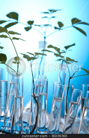 To use this stock image in your creative project, please select the size you need over to the right and click the "Add to Cart" button.
Your downloaded image will come with the Cutcaster watermark removed so don’t worry about the watermark you see on this page. Close-up of plants in test tubes laboratory stock photo, A laboratory is a place where scientific research and experiments are conducted. Laboratories designed for processing specimens, such as environmental research or medical laboratories will have specialised machinery (automated analysers) designed to process many samples.
by Sebastian Duda