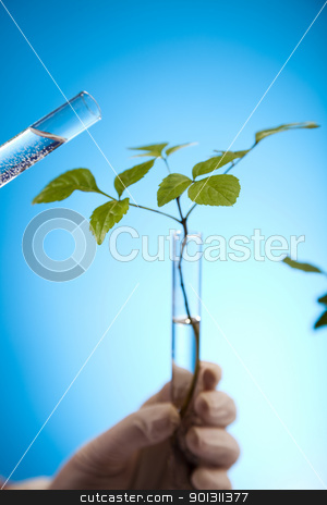 To use this stock image in your creative project, please select the size you need over to the right and click the "Add to Cart" button.
Your downloaded image will come with the Cutcaster watermark removed so don’t worry about the watermark you see on this page. Eco laboratory stock photo, A laboratory is a place where scientific research and experiments are conducted. Laboratories designed for processing specimens, such as environmental research or medical laboratories will have specialised machinery (automated analysers) designed to process many samples.
by Sebastian Duda