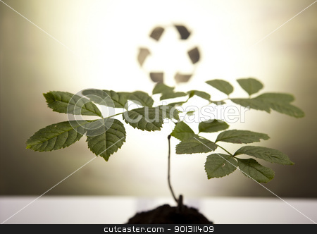 To use this stock image in your creative project, please select the size you need over to the right and click the "Add to Cart" button.
Your downloaded image will come with the Cutcaster watermark removed so don’t worry about the watermark you see on this page. Plant and ecology, recycling stock photo, Recycling plant, ecology background. by Sebastian Duda