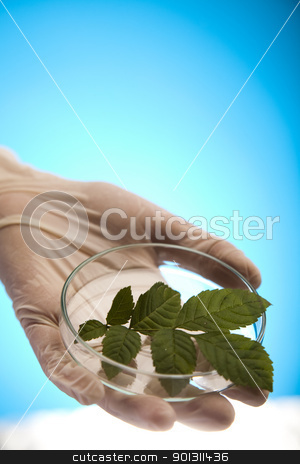 To use this stock image in your creative project, please select the size you need over to the right and click the "Add to Cart" button.
Your downloaded image will come with the Cutcaster watermark removed so don’t worry about the watermark you see on this page. Plant laboratory stock photo, A laboratory is a place where scientific research and experiments are conducted. Laboratories designed for processing specimens, such as environmental research or medical laboratories will have specialised machinery (automated analysers) designed to process many samples.
by Sebastian Duda