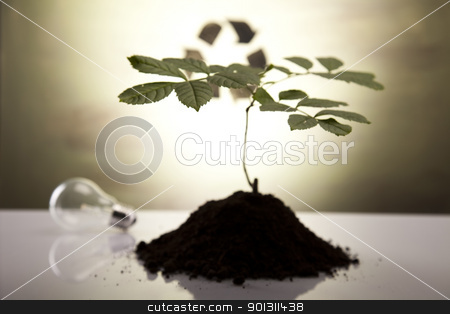 To use this stock image in your creative project, please select the size you need over to the right and click the "Add to Cart" button.
Your downloaded image will come with the Cutcaster watermark removed so don’t worry about the watermark you see on this page. Plant and ecology, recycling stock photo, Recycling plant, ecology background. by Sebastian Duda