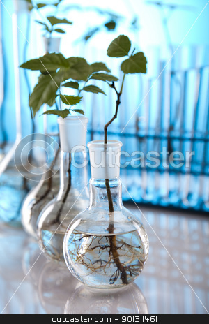 To use this stock image in your creative project, please select the size you need over to the right and click the "Add to Cart" button.
Your downloaded image will come with the Cutcaster watermark removed so don’t worry about the watermark you see on this page. Test tubes with plants stock photo, A laboratory is a place where scientific research and experiments are conducted. Laboratories designed for processing specimens, such as environmental research or medical laboratories will have specialised machinery (automated analysers) designed to process many samples.
by Sebastian Duda