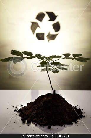 To use this stock image in your creative project, please select the size you need over to the right and click the "Add to Cart" button.
Your downloaded image will come with the Cutcaster watermark removed so don’t worry about the watermark you see on this page. Eco plant stock photo, Recycling plant, ecology background. by Sebastian Duda