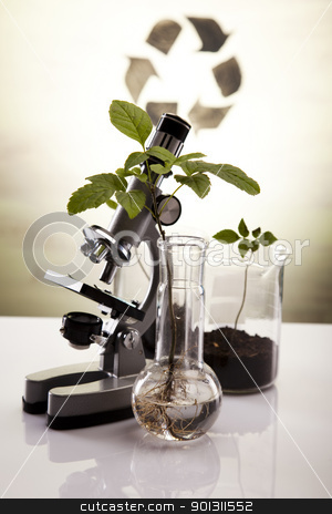 To use this stock image in your creative project, please select the size you need over to the right and click the "Add to Cart" button.
Your downloaded image will come with the Cutcaster watermark removed so don’t worry about the watermark you see on this page. Plant laboratory stock photo, A laboratory is a place where scientific research and experiments are conducted. Laboratories designed for processing specimens, such as environmental research or medical laboratories will have specialised machinery (automated analysers) designed to process many samples.
by Sebastian Duda