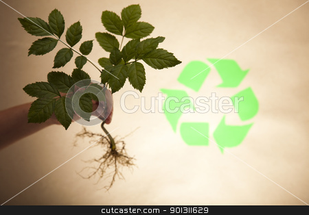 To use this stock image in your creative project, please select the size you need over to the right and click the "Add to Cart" button.
Your downloaded image will come with the Cutcaster watermark removed so don’t worry about the watermark you see on this page. Plant stock photo, Recycling plant, ecology background. by Sebastian Duda