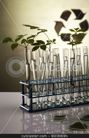To use this stock image in your creative project, please select the size you need over to the right and click the "Add to Cart" button.
Your downloaded image will come with the Cutcaster watermark removed so don’t worry about the watermark you see on this page. Plant growing in test tubes in a laboratory stock photo, A laboratory is a place where scientific research and experiments are conducted. Laboratories designed for processing specimens, such as environmental research or medical laboratories will have specialised machinery (automated analysers) designed to process many samples.
by Sebastian Duda