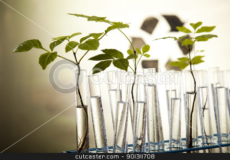 To use this stock image in your creative project, please select the size you need over to the right and click the "Add to Cart" button.
Your downloaded image will come with the Cutcaster watermark removed so don’t worry about the watermark you see on this page. Plant growing in test tubes in a laboratory stock photo, A laboratory is a place where scientific research and experiments are conducted. Laboratories designed for processing specimens, such as environmental research or medical laboratories will have specialised machinery (automated analysers) designed to process many samples.
by Sebastian Duda