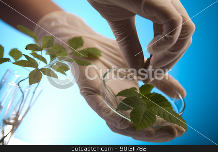 To use this stock image in your creative project, please select the size you need over to the right and click the "Add to Cart" button.
Your downloaded image will come with the Cutcaster watermark removed so don’t worry about the watermark you see on this page. Floral science in laboratory stock photo, A laboratory is a place where scientific research and experiments are conducted. Laboratories designed for processing specimens, such as environmental research or medical laboratories will have specialised machinery (automated analysers) designed to process many samples.
by Sebastian Duda