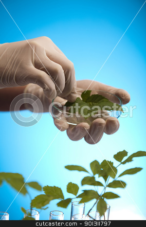 To use this stock image in your creative project, please select the size you need over to the right and click the "Add to Cart" button.
Your downloaded image will come with the Cutcaster watermark removed so don’t worry about the watermark you see on this page. Floral science in laboratory stock photo, A laboratory is a place where scientific research and experiments are conducted. Laboratories designed for processing specimens, such as environmental research or medical laboratories will have specialised machinery (automated analysers) designed to process many samples.
by Sebastian Duda