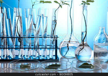 To use this stock image in your creative project, please select the size you need over to the right and click the "Add to Cart" button.
Your downloaded image will come with the Cutcaster watermark removed so don’t worry about the watermark you see on this page. Ecology laboratory experiment in plants stock photo, A laboratory is a place where scientific research and experiments are conducted. Laboratories designed for processing specimens, such as environmental research or medical laboratories will have specialised machinery (automated analysers) designed to process many samples.
by Sebastian Duda