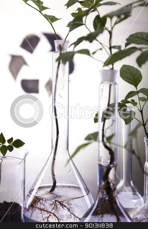 To use this stock image in your creative project, please select the size you need over to the right and click the "Add to Cart" button.
Your downloaded image will come with the Cutcaster watermark removed so don’t worry about the watermark you see on this page. Recycling sign in laboratory stock photo, A laboratory is a place where scientific research and experiments are conducted. Laboratories designed for processing specimens, such as environmental research or medical laboratories will have specialised machinery (automated analysers) designed to process many samples.
by Sebastian Duda