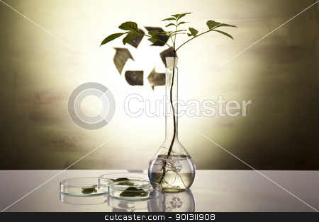 To use this stock image in your creative project, please select the size you need over to the right and click the "Add to Cart" button.
Your downloaded image will come with the Cutcaster watermark removed so don’t worry about the watermark you see on this page. Ecology laboratory experiment in plants stock photo, A laboratory is a place where scientific research and experiments are conducted. Laboratories designed for processing specimens, such as environmental research or medical laboratories will have specialised machinery (automated analysers) designed to process many samples. by Sebastian Duda