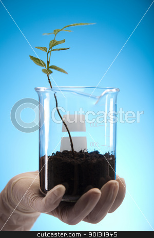 To use this stock image in your creative project, please select the size you need over to the right and click the "Add to Cart" button.
Your downloaded image will come with the Cutcaster watermark removed so don’t worry about the watermark you see on this page. Ecology laboratory experiment in plants stock photo, A laboratory is a place where scientific research and experiments are conducted. Laboratories designed for processing specimens, such as environmental research or medical laboratories will have specialised machinery (automated analysers) designed to process many samples. by Sebastian Duda