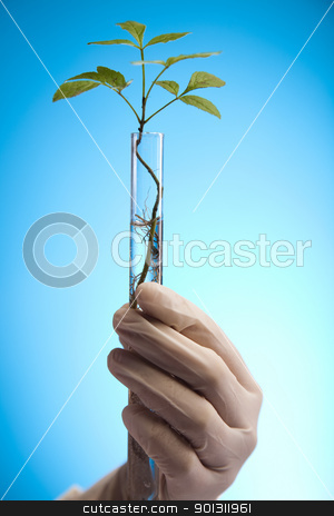 To use this stock image in your creative project, please select the size you need over to the right and click the "Add to Cart" button.
Your downloaded image will come with the Cutcaster watermark removed so don’t worry about the watermark you see on this page. Floral science in laboratory stock photo, A laboratory is a place where scientific research and experiments are conducted. Laboratories designed for processing specimens, such as environmental research or medical laboratories will have specialised machinery (automated analysers) designed to process many samples. by Sebastian Duda
