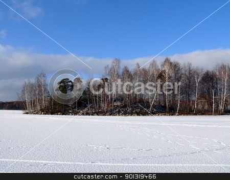 To use this stock image in your creative project, please select the size you need over to the right and click the "Add to Cart" button.
Your downloaded image will come with the Cutcaster watermark removed so don’t worry about the watermark you see on this page. Winter landscape stock photo, Winter landscape by Stoyanov
