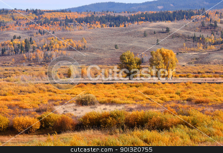 To use this stock image in your creative project, please select the size you need over to the right and click the "Add to Cart" button.
Your downloaded image will come with the Cutcaster watermark removed so don’t worry about the watermark you see on this page. autumn landscape in Wyoming stock photo, Scenic autumn landscape in Wyoming in autumn time by Sreedhar Yedlapati