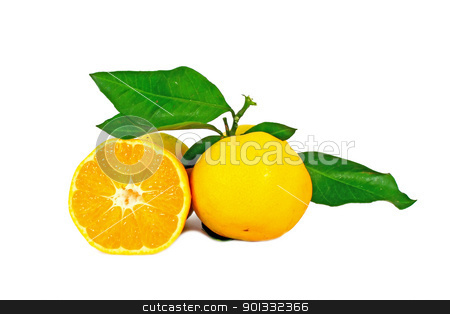 To use this stock image in your creative project, please select the size you need over to the right and click the "Add to Cart" button.
Your downloaded image will come with the Cutcaster watermark removed so don’t worry about the watermark you see on this page. Two ripe oranges stock photo, Two ripe oranges with leaves isolated on white by Borislav Marinic