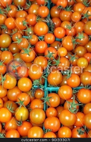 To use this stock image in your creative project, please select the size you need over to the right and click the "Add to Cart" button.
Your downloaded image will come with the Cutcaster watermark removed so don’t worry about the watermark you see on this page. Orange Cherry Tomatoes stock photo, Orange cherry tomatoes at a farmers market in baskets by Henrik Lehnerer