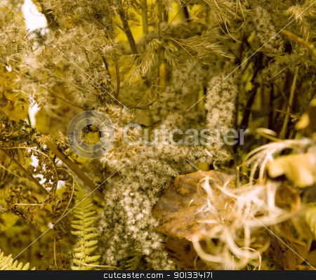 To use this stock image in your creative project, please select the size you need over to the right and click the "Add to Cart" button.
Your downloaded image will come with the Cutcaster watermark removed so don’t worry about the watermark you see on this page. autumn background stock photo, full frame background with various autumn leaves in warm toned ambiance by prill