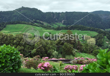 To use this stock image in your creative project, please select the size you need over to the right and click the "Add to Cart" button.
Your downloaded image will come with the Cutcaster watermark removed so don’t worry about the watermark you see on this page. panoramic scenery at the Azores stock photo, panoramic view at Sao Miguel Island by prill
