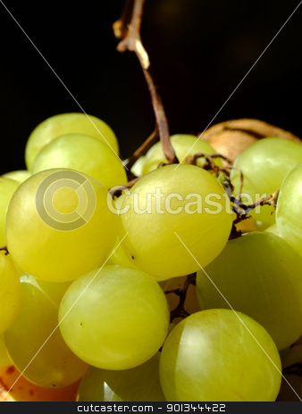 To use this stock image in your creative project, please select the size you need over to the right and click the "Add to Cart" button.
Your downloaded image will come with the Cutcaster watermark removed so don’t worry about the watermark you see on this page. White grapes stock photo, Close-up of white grapes by Massimiliano Pieraccini
